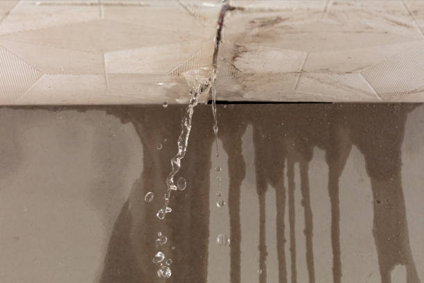 Professional Sewage Cleanup technician working in Clifton, IL